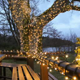 Festive Lights - Connectpro 5M Warm White Outdoor Ip65 Connectable Led Christmas Fairy String Lights - With Plug - thumbnail 1