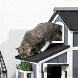 Pawhut Wooden Outdoor Cat House W/ Flower Pot, Windows, Multiple Entrances - thumbnail 9
