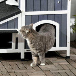 Pawhut Wooden Outdoor Cat House W/ Flower Pot, Windows, Multiple Entrances - thumbnail 8