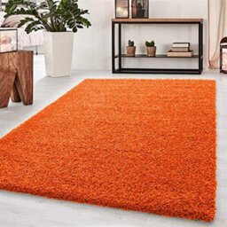 Wadan 80X150Cm Orange Shaggy Rug - Rectangular Soft Touch Thick Pile Modern Area Rug - Rugs For Living & Bedroom Non Shedding - thumbnail 1