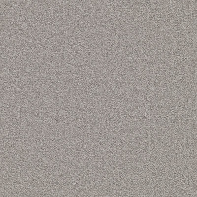 Furlong Flooring Chiltern Twist Carpet (Moonstone, 5M X 4M)