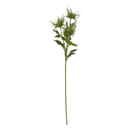 Wyld Haus Set Of 3 Green Sea Holly Artificial Flower Sprays, 670mm Tall - thumbnail 1
