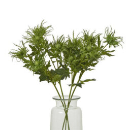 Wyld Haus Set Of 3 Green Sea Holly Artificial Flower Sprays, 670mm Tall - thumbnail 3