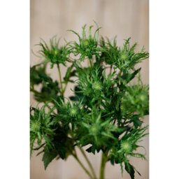Wyld Haus Set Of 3 Green Sea Holly Artificial Flower Sprays, 670mm Tall - thumbnail 5