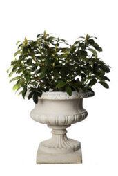 Pair Of Large Edwardian Stone Vases Without Handles - thumbnail 6