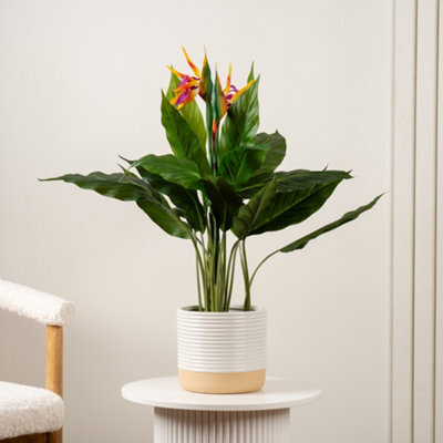 Scottish Everlastings Ltd. Scottish Everlastings 83Cm Artificial Bird Of Paradise Tree With Flower - image 1