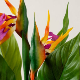 Scottish Everlastings Ltd. Scottish Everlastings 83Cm Artificial Bird Of Paradise Tree With Flower - thumbnail 2
