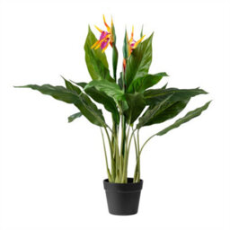 Scottish Everlastings Ltd. Scottish Everlastings 83Cm Artificial Bird Of Paradise Tree With Flower - thumbnail 3