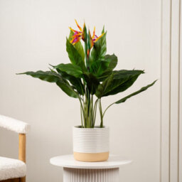 Scottish Everlastings Ltd. Scottish Everlastings 83Cm Artificial Bird Of Paradise Tree With Flower - thumbnail 1