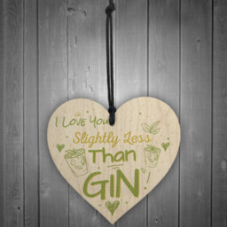 Red Ocean Novelty Gin Friendship Sign Handmade Wooden Hanging Heart Plaque Gin  Tonic Funny Gift For Friend - thumbnail 2