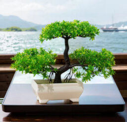 Green Artificial Bonsai Plant , Small Potted Tree For Home, Office Decor - thumbnail 1