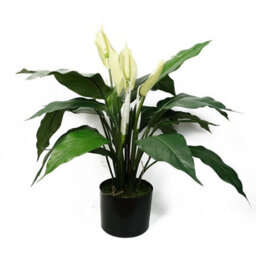 Leaf Artificial White Spathiphyllum Peace Lily - thumbnail 1