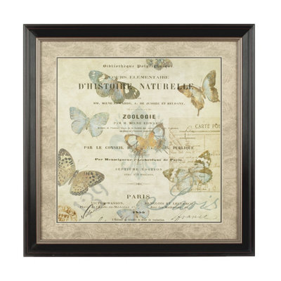 Orsina Framed Butterfly 2 Wall Art - image 1