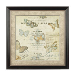 Orsina Framed Butterfly 2 Wall Art - thumbnail 1