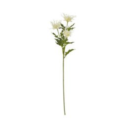 Wyld Haus Set Of 3 Cream Sea Holly Artificial Flowers 670mm Tall Faux Stems For Home Décor