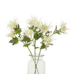 Wyld Haus Set Of 3 Cream Sea Holly Artificial Flowers 670mm Tall Faux Stems For Home Décor - thumbnail 3