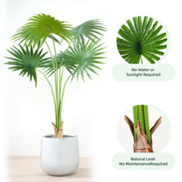 MCC Direct Artificial Plant Fan Palm Tree Indoor House Plant 100 Cm - thumbnail 3
