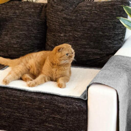 Geezy Cat Scratch Mat Natural Sisal Indoor Cats Grinding Claws Furniture Protection - thumbnail 7