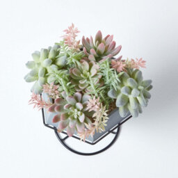 Homescapes Artificial Green Handcrafted Cactus & Succulent Arrangement In Decorative Geometric Grey Pot, 31 Cm - thumbnail 3