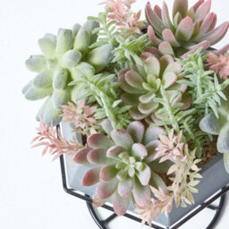 Homescapes Artificial Green Handcrafted Cactus & Succulent Arrangement In Decorative Geometric Grey Pot, 31 Cm - thumbnail 5