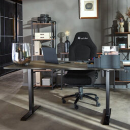 Tectake Office Chair Springsteen With Ergonomic Shape, Thick Padding And Stepless Height Adjustment - Black - thumbnail 9