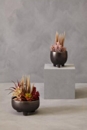 Premier Housewares Fiori Mixed Succulents In Ceramic Pot Artificial Plant Foliage - thumbnail 4