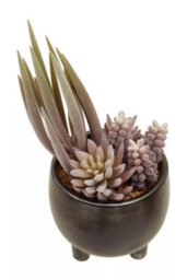 Premier Housewares Fiori Mixed Succulents In Ceramic Pot Artificial Plant Foliage - thumbnail 2
