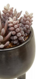Premier Housewares Fiori Mixed Succulents In Ceramic Pot Artificial Plant Foliage - thumbnail 8