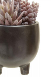 Premier Housewares Fiori Mixed Succulents In Ceramic Pot Artificial Plant Foliage - thumbnail 9