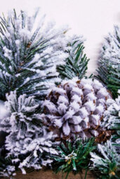 Christmas Tree World 180Cm Flocked Decorated Mixed Pine Garland With Tartan Bows - thumbnail 5