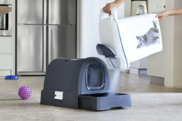 Keter Curver Cat Litter Box- Antharcite - thumbnail 4