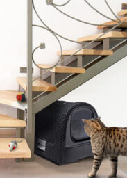 Keter Curver Cat Litter Box- Antharcite - thumbnail 3