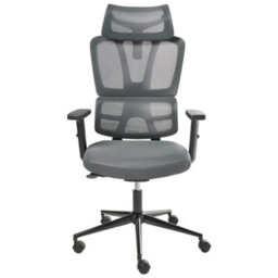 Wyld And Coco Novatech Ergonomic Office Chair Dark Grey Mesh With Adjustable Headrest And Armrests - thumbnail 1