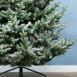 Christmas Tree World The 7Ft/210Cm Frosted Ultra Mountain Pine - thumbnail 8