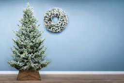 Christmas Tree World The 7Ft/210Cm Frosted Ultra Mountain Pine