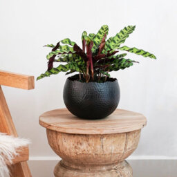 Ivyline Hammered Bowl Black/copper 30Cm - thumbnail 5