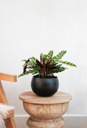 Ivyline Hammered Bowl Black/copper 30Cm - thumbnail 2
