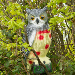 Pisces Twin Pack Pond Decoy Realistic Owl And Heron Pest Deterrent Scarer Koi Carp Fish - thumbnail 2