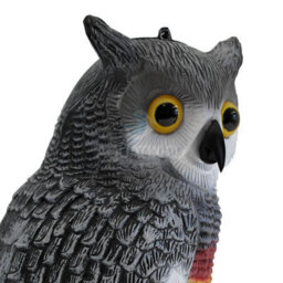 Pisces Twin Pack Pond Decoy Realistic Owl And Heron Pest Deterrent Scarer Koi Carp Fish - thumbnail 5