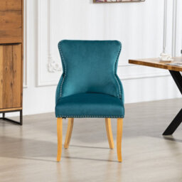 Orvino Velvet Fabric Dining Chairs - Set Of 2 - Teal - thumbnail 1
