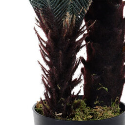 Living And Home 2 Trunk Artificial Cycas Tree House Plant Fake  Decorative Plant In Black Pot 90 Cm - thumbnail 4