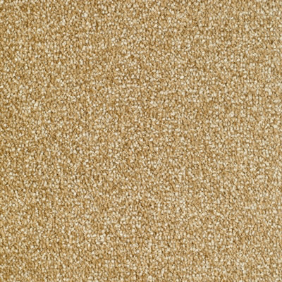 Grantham Bleach Cleanable Deep Pile Carpet By Remland (Ancaster, 4M X 5M) - image 1
