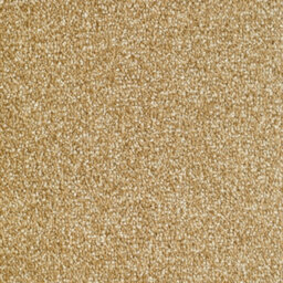 Grantham Bleach Cleanable Deep Pile Carpet By Remland (Ancaster, 4M X 5M) - thumbnail 1