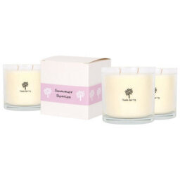 Nicola Spring 3X Summer Berries Scented Candles - 400G 28H Natural Single Wick Soy Wax Aromatherapy Candle Home Fragrance - thumbnail 1