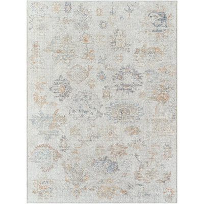 Livabliss Our Pnw Home Olympic-Vintage Beige Brown Blue Traditional Boho Living Dining Bedroom Rug 160 X 213 Cm Easy Care, Non Shedding - image 1