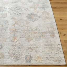 Livabliss Our Pnw Home Olympic-Vintage Beige Brown Blue Traditional Boho Living Dining Bedroom Rug 160 X 213 Cm Easy Care, Non Shedding - thumbnail 5
