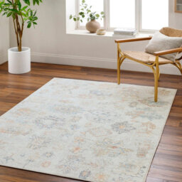Livabliss Our Pnw Home Olympic-Vintage Beige Brown Blue Traditional Boho Living Dining Bedroom Rug 160 X 213 Cm Easy Care, Non Shedding - thumbnail 2