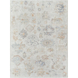 Livabliss Our Pnw Home Olympic-Vintage Beige Brown Blue Traditional Boho Living Dining Bedroom Rug 160 X 213 Cm Easy Care, Non Shedding - thumbnail 1