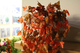 Best Artificial 100Cm Two Tone Autumn English Trailing Ivy Halloween Garland - Ti15 - thumbnail 5