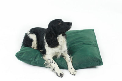 Actiaspet Large Green Waterproof Dog Bed Heavy Duty Cover - image 1